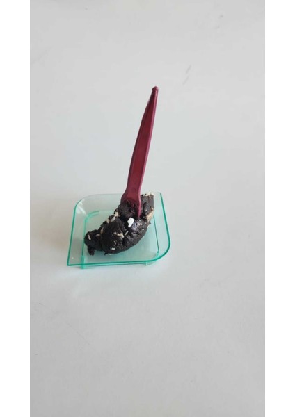 Sunumluk &kokteyl& Ikram& Cips Çatalı 8.5 mm Lik Kokteyl Çatalı 500 Adet