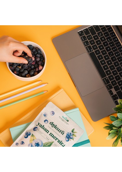 Yaban Mersini Kuru Meyve Cipsi - Dondurularak Kurutulmuş Freeze Dried Çıtır Yaban Mersini