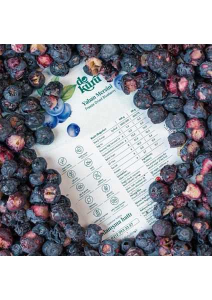 Yaban Mersini Kuru Meyve Cipsi - Dondurularak Kurutulmuş Freeze Dried Çıtır Yaban Mersini