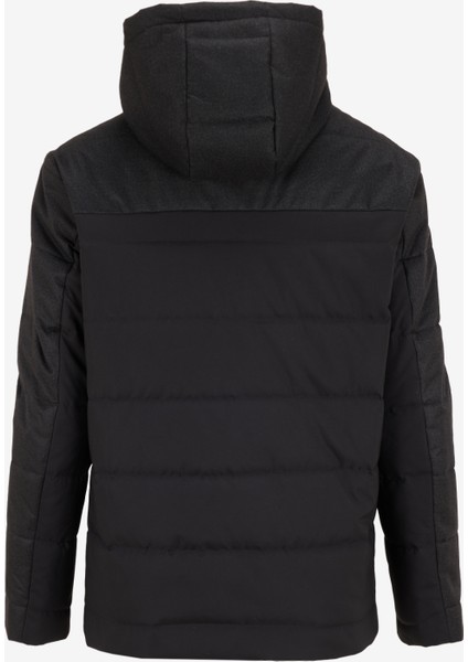 Siyah Erkek Kaban ACE072510024_KABAN fiyatları