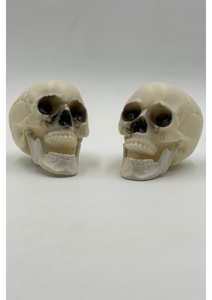 Halloween Kuru Kafa Ikili Beyaz