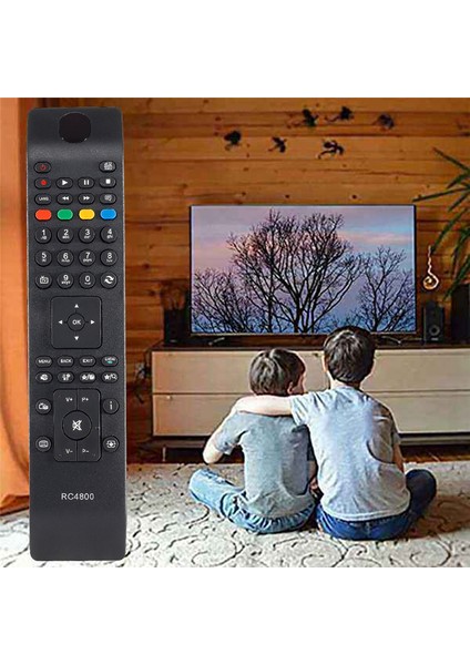 RC4800 Uzaktan Kumanda RC4800 -32TW51J LT32TW51J (Yurt Dışından)