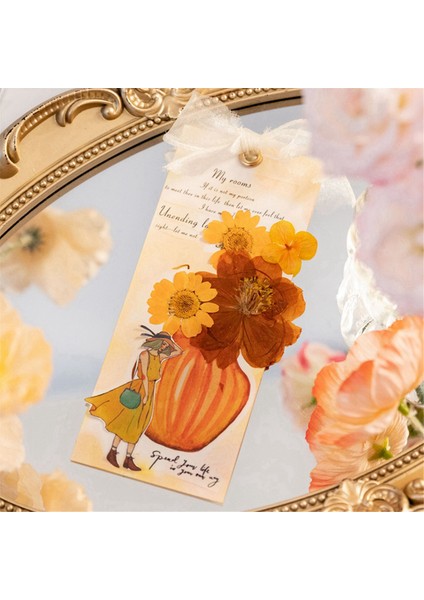 Scrapbooking Günlük Albüm Yaratıcılık Kırtasiye Yapıştırıcı Kendin Yap Sticker-D (Yurt Dışından) indirimleri