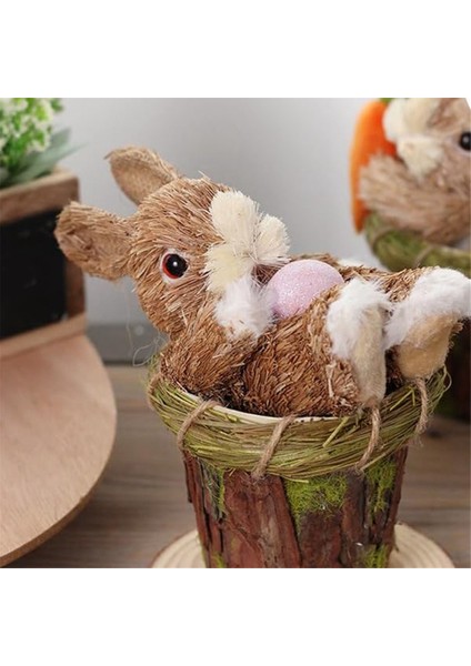 Ev Için Sevimli Kamış Çiçek Saksısı Dekoru Ev Masaüstü (Yurt Dışından) modelleri