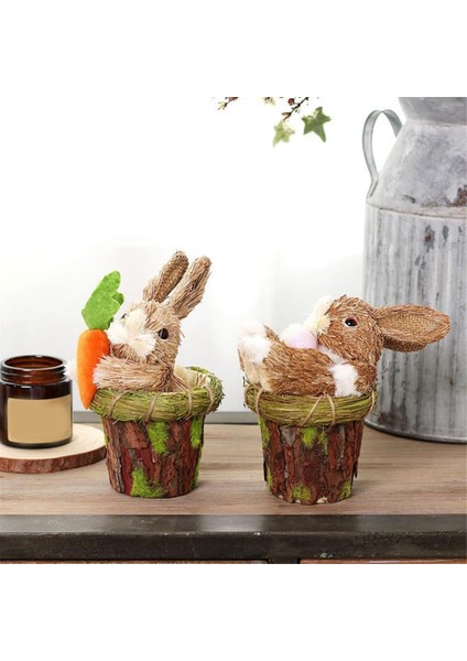 Ev Için Sevimli Kamış Çiçek Saksısı Dekoru Ev Masaüstü (Yurt Dışından) fırsatları