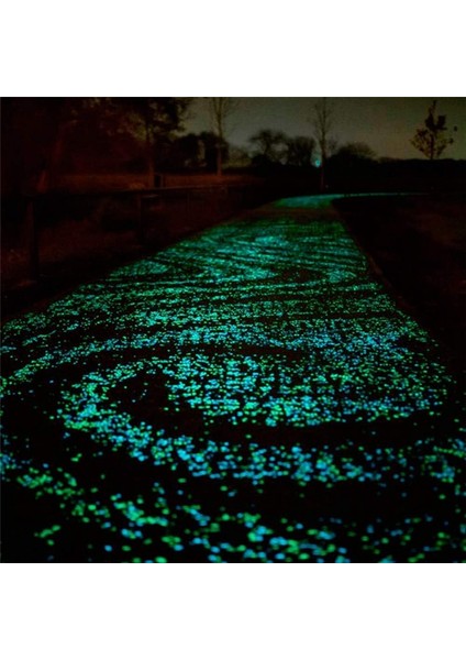 500 Adet Karanlıkta Parlayan Işıklı Taş Bahçe Kayaları Glowinthedark (Yurt Dışından)