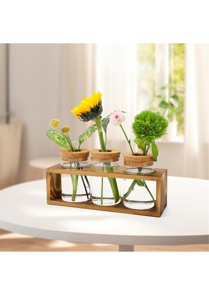 Üretim Istasyonu, Bitki Kesimi Için Cam Bitki Teraryumu, Ev Dekoru (Yurt Dışından) modelleri