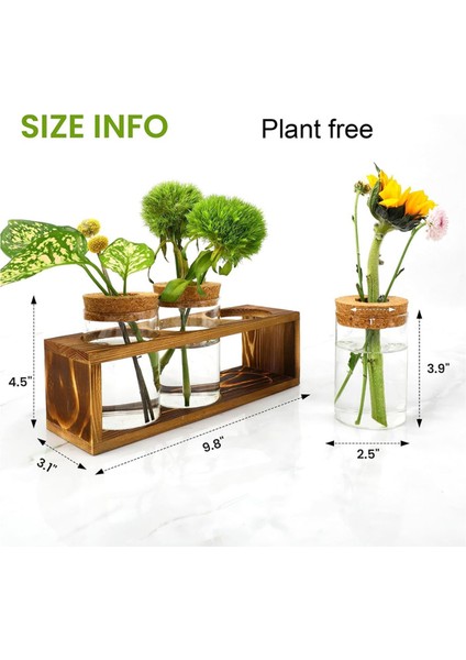 Üretim Istasyonu, Bitki Kesimi Için Cam Bitki Teraryumu, Ev Dekoru (Yurt Dışından) indirimleri