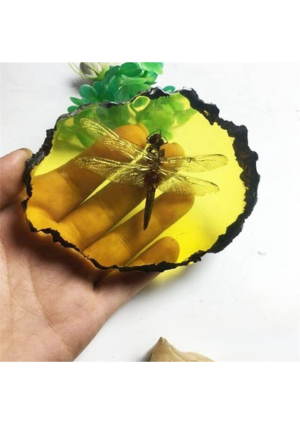 Amber Fosil Böcek Örnekleri Yapay Amber Böcek, Kelebekler (Yurt Dışından)