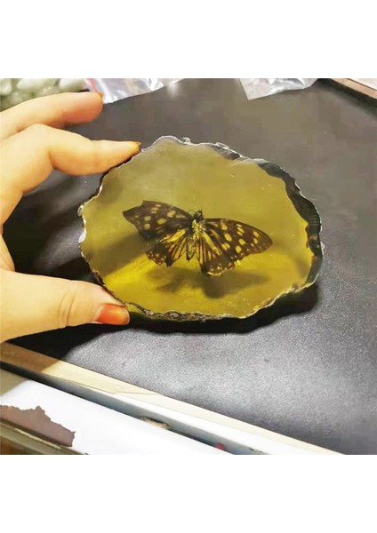 Amber Fosil Böcek Örnekleri Yapay Amber Böcek, Kelebekler (Yurt Dışından)