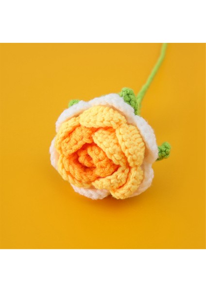 El Örgüsü Gül ,b (Yurt Dışından) fiyatları