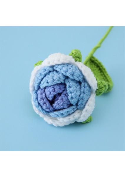 El Örgüsü Gül ,b (Yurt Dışından) indirimleri