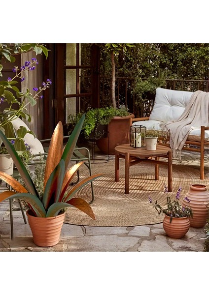 Tequila Rustik Heykel, Kendin Yap Metal Agave Bitkisi, Bahçe Sanat Dekorasyonu, A (Yurt Dışından) fırsatları