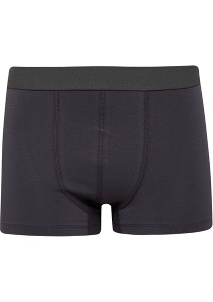 Regular Fit 3'lü Boxer E2914AX25SP