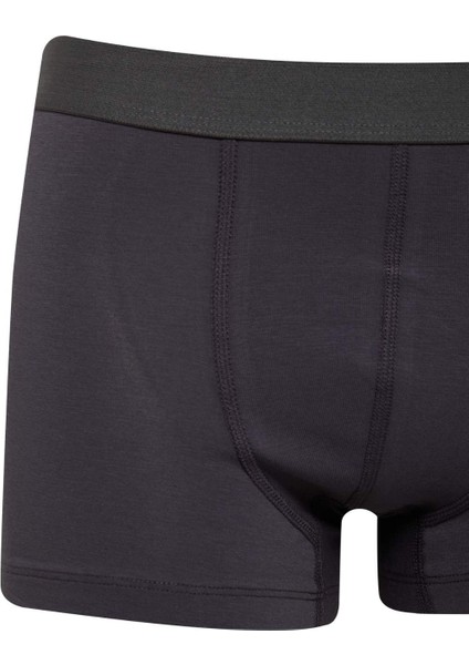 Regular Fit 3'lü Boxer E2914AX25SP