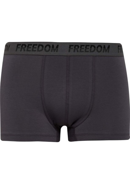 Regular Fit 3'lü Boxer E2922AX25SP
