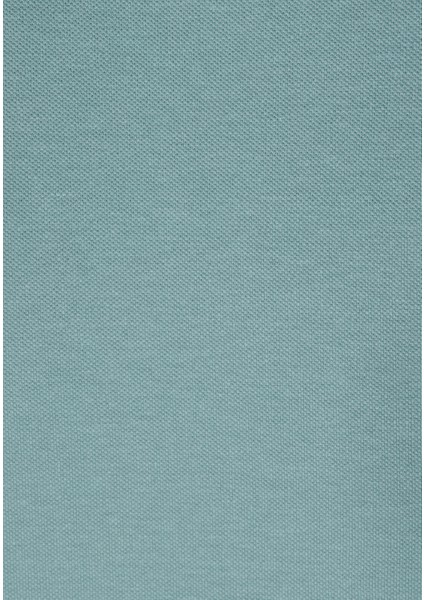 Regular Fit Polo Yaka Düz Erkek Yeşil Kısa Kol Tişört CL1073960