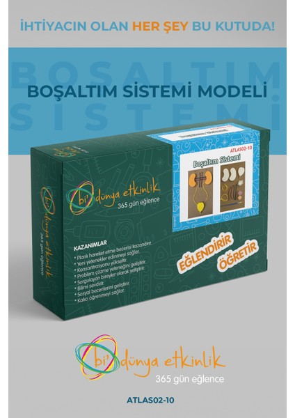 Boşaltım Sistemi Modeli | 02-10 fiyatları