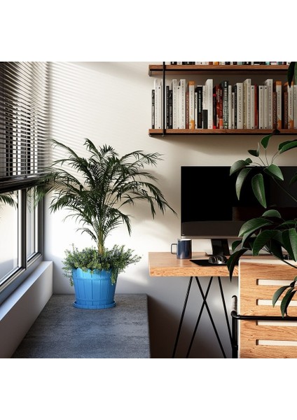 Lüx Küçük Balkon Saksısı Yuvarlak Tüm Renkler Saksı Tabağı Dahil fiyatları