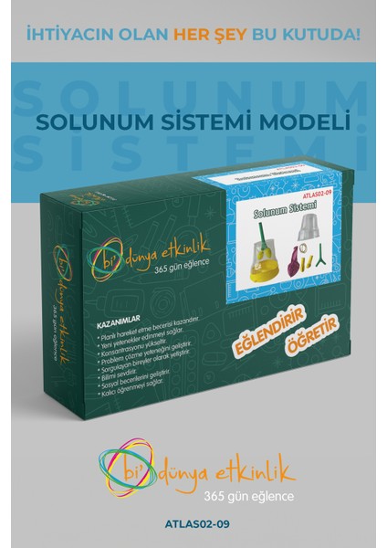 Solunum Sistemi Modeli | 02-09 fiyatları