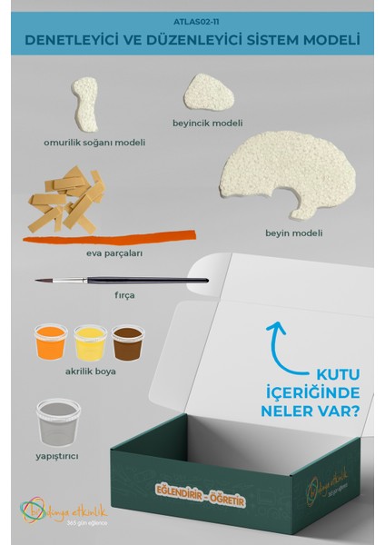 Denetleyici ve Düzenleyici Sistem Modeli | 02-11 modelleri