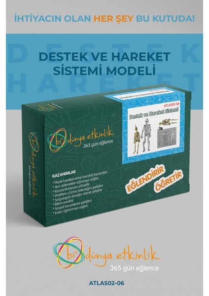 Destek ve Hareket Modeli | 02-06 fiyatları