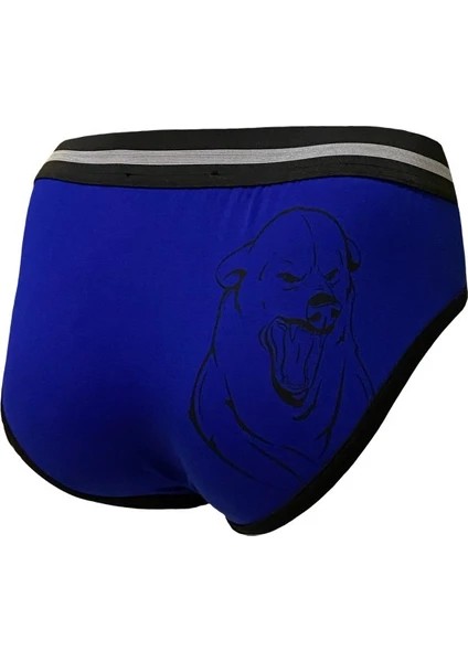 Erkek Bear Baskılı Slip fiyatları