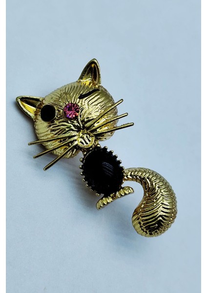 Bb Şanslı Kedi Broş fırsatları