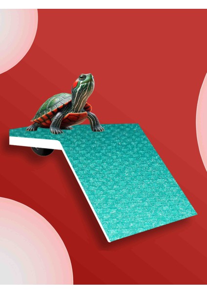 Kaplumbağa Rampası ( Turkaz ) Kaplumbağa Kayası Platformu
