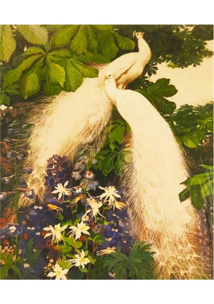5d Elmas Taş Işleme Kiti 40X50 cm Beyaz Tavus Kuşları Desen fiyatları