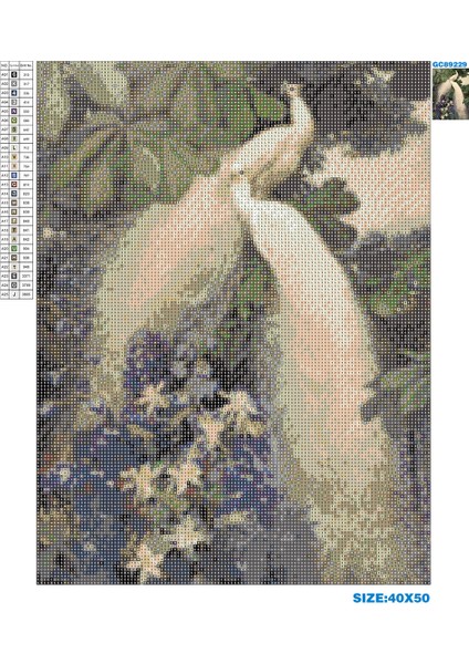 5d Elmas Taş Işleme Kiti 40X50 cm Beyaz Tavus Kuşları Desen modelleri