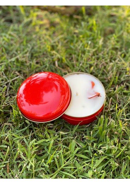 Ud Kokulu Kırmızı Bonbon Soya Mum fiyatları