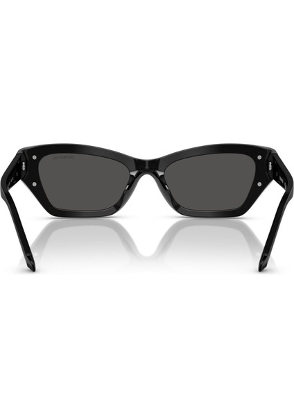 Güneş Gözlüğü SK6029 53 100187