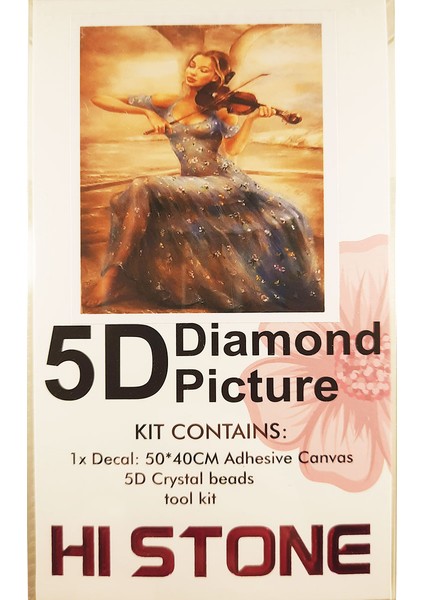 5d Elmas Taş Işleme Kiti 40X50 cm Kemancı Kız Desen