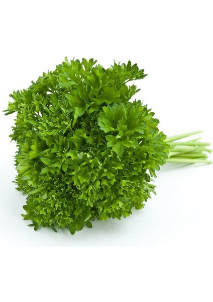 Kıvırcık Frenk Maydonozu Tohumu (200 Tohum)