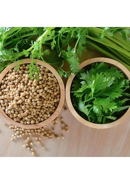 Ata Tohumları Geniş Yaprak Doğal Aşotu Kişniş Tohumu (1 Kg)