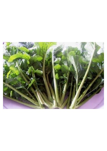 Doğal Hardal Otu TOHUMU(100 Tohum)