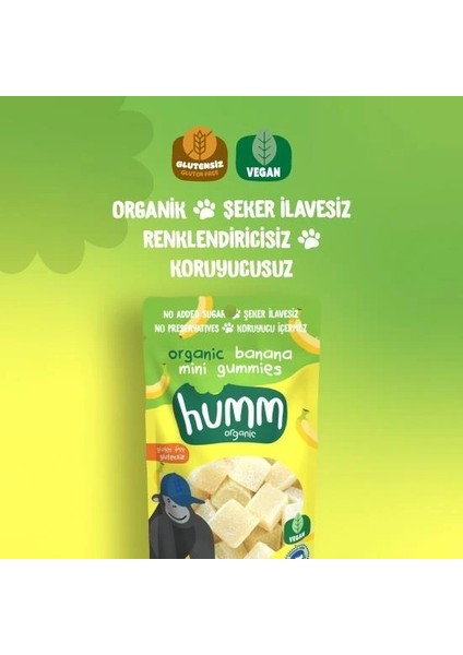 Nessiworld Humm Organik Muzlu Glutensiz Vegan Mini Küpler 30 gr fiyatları