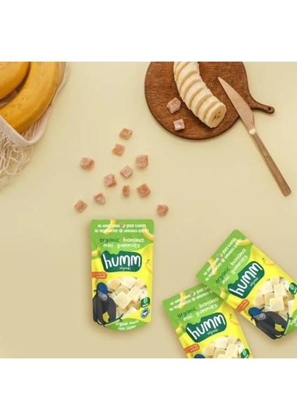 Nessiworld Humm Organik Muzlu Glutensiz Vegan Mini Küpler 30 gr modelleri