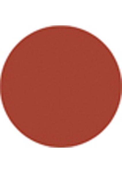 The Lipstick 13 Shirayuri Nude fiyatları