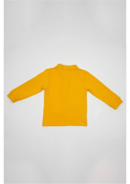 Erkek Bebek Sarı Polo Yaka Uzun Kollu Kışlık Sweatshirt fiyatları
