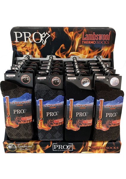Mix Lambswool Termo Erkek Çorabı 24'lü Stand (13907)