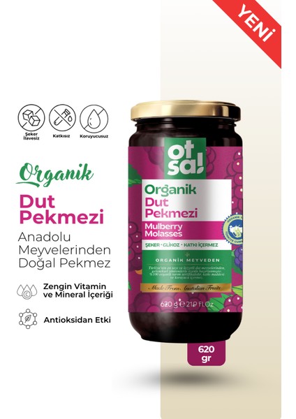 Organik Dut Pekmezi 620 gr