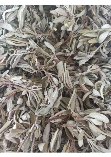 Adaçayı Toros Yayla 100 gr modelleri