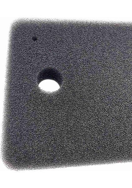 10X Çamaşır Kurutma Makinesi Filtre Süngeri Miele 9164761 Kurutma Makinesi Isı Pompalı Kurutucu, Sünger Filtre Mat Yoğunlaştırılmış Kurutma Makinesi Tüy Bırakmayan Filtre (Yurt Dışından)