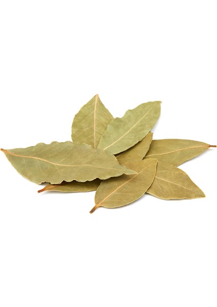 Defne Yaprağı 20 gr