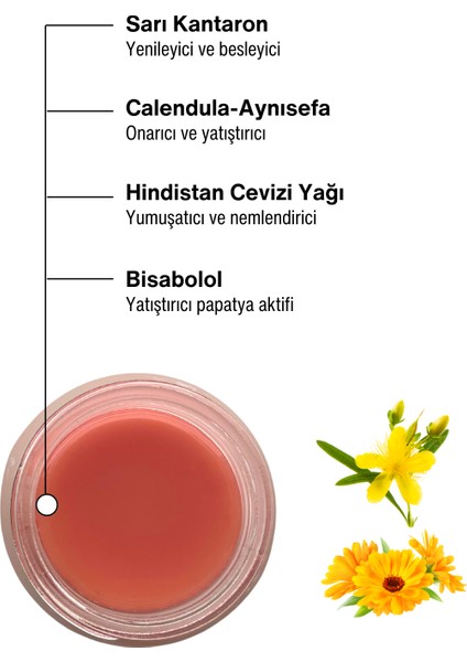 Hypericum Yatıştırıcı ve Onarıcı Aynısefa & Kantaron Merhemi 30 ml