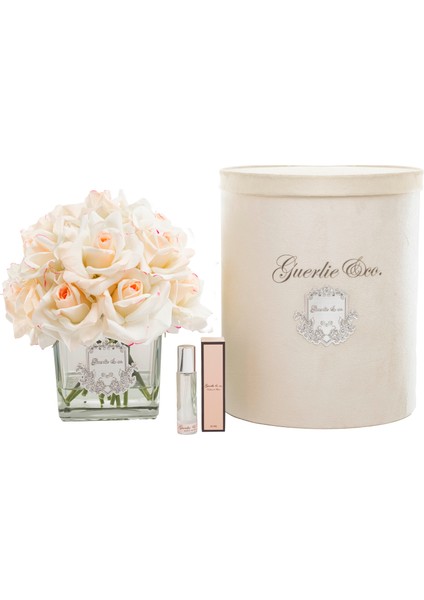 Guerlieandco. Krem Pembe 15 Gül Kare Cam Gümüş