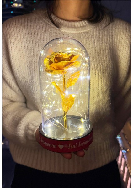 Sevgiliye Ledli Fanus Içinde Gold Sonsuzluk Gülü Seni Seviyorum Yazılı Sevgiliye Özel Kız Arkadaşa