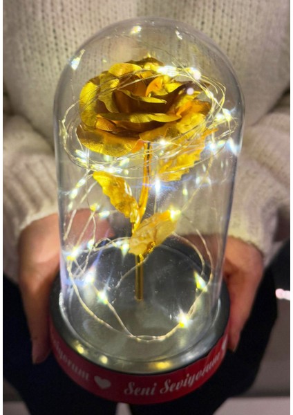 Sevgiliye Ledli Fanus Içinde Gold Sonsuzluk Gülü Seni Seviyorum Yazılı Sevgiliye Özel Kız Arkadaşa fiyatları